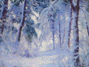 Winter Forest Winter Forest