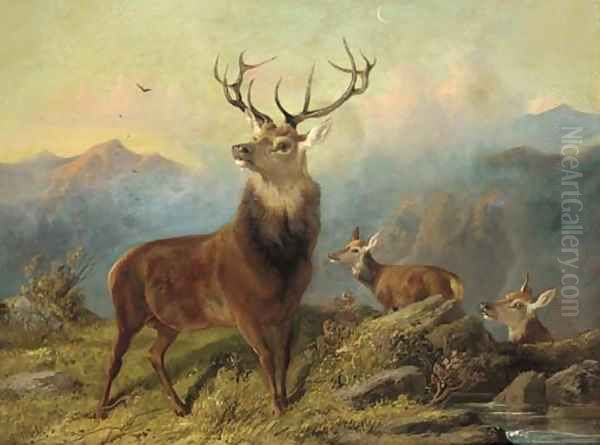 A stag and hinds in a landscape - view 1