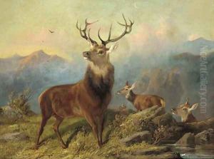 A stag and hinds in a landscape