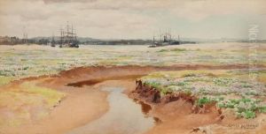 Sea Lavender