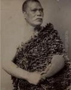 Te Korohohe Te Korohohe