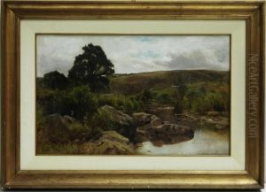 Paesaggio Fluviale