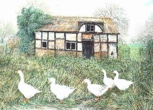 Geese Before a Timbered Cottage by Alexander Williams