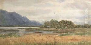 View from the Lake Hotel, Killarney
