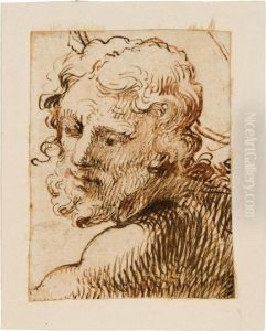 Studio Di Volto Virile by Bartolomeo Passarotti