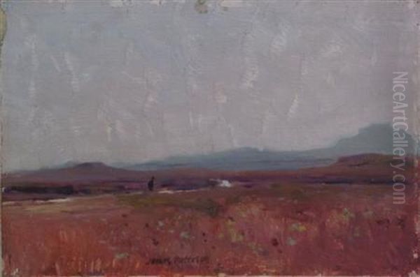 Mcleod's Maidens, Orbost - view 1