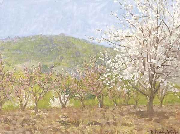 Springtime in Saratoga - view 1