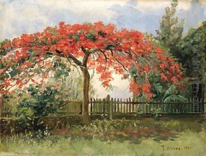 Flowering Tree, Honolulu by Theodore Wores