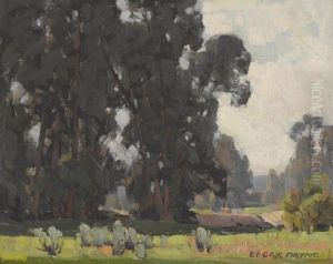 A Grove Of Trees