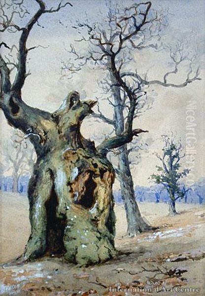 Tree Study - view 1