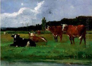 Vaches Dans Un Pre Vaches Dans Un Pre