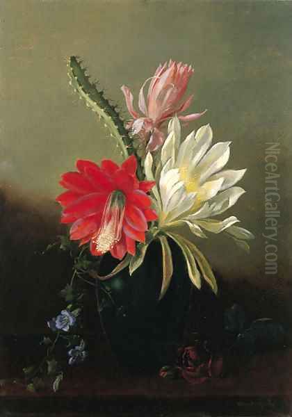 Blooming Cactus - view 1