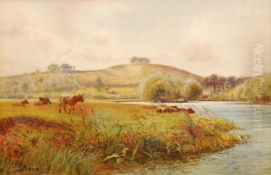 Cattle Watering At A Riverside With Hills In The Distance by John Pedder