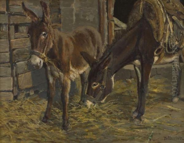 Asinelli by Tito Pellicciotti