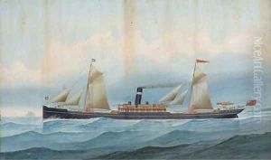 The British India steamer Fultala at sea by Edward Clegg Wilkinson