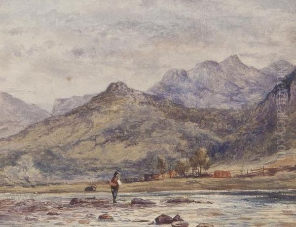 Trout Stream Near Capel Curig - view 1