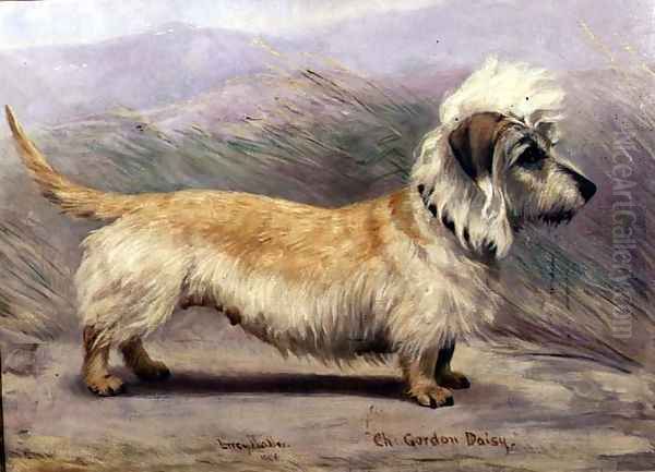 Portrait of Champion Gordon Daisy, 190 - view 1