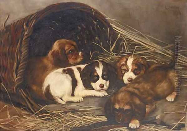 Puppies - view 1
