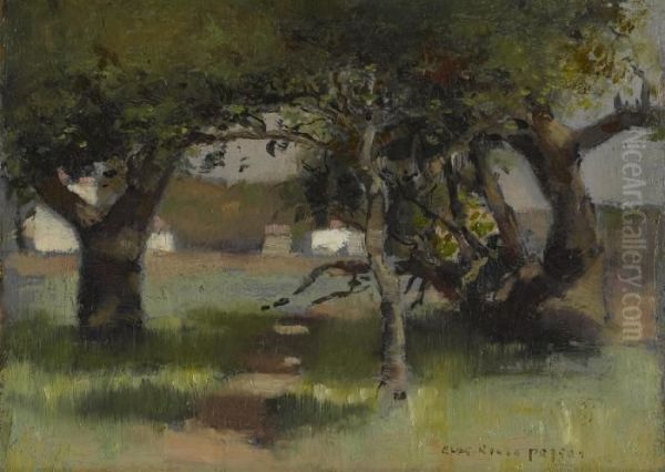 Wooded Path In Sunlight And Shade - view 1