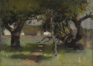 Wooded Path In Sunlight And Shade