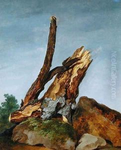 Study of Rocks and Branches, c.1795 by George Augustus Wallis