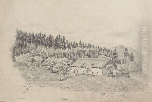 Ferme Devant Les Sapins - view 1