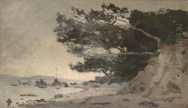 Paysage Cotier, Pins Sur Les Rochers. - view 1