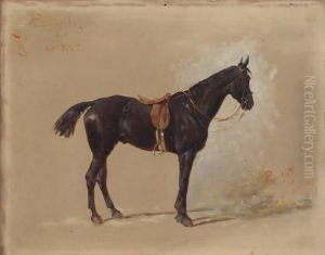 Rebelle, Portrait Equestre by Olivier Pichat