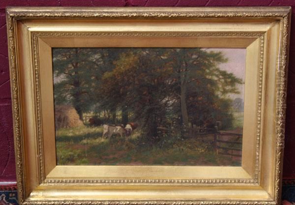 Cattle In The Shade Of Tree - view 1