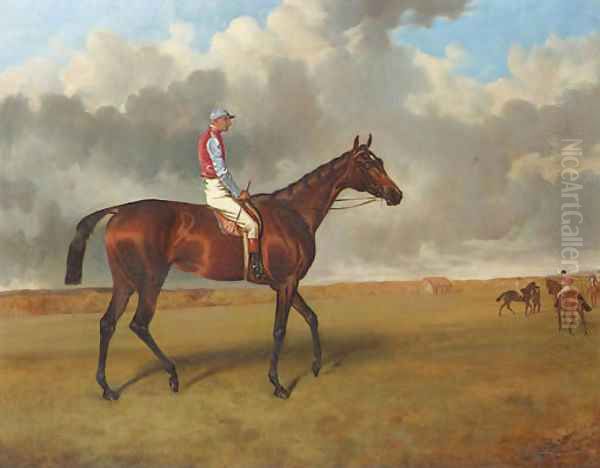 Miss Jummy, a bay racehorse with Jack Watts up, at Newmarket with other racehorses beyond - view 1