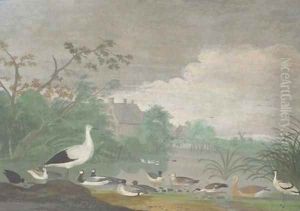 Geese, ducks and other birds on a pond with houses in the distance Geese, ducks and other birds on a pond with houses in the distance