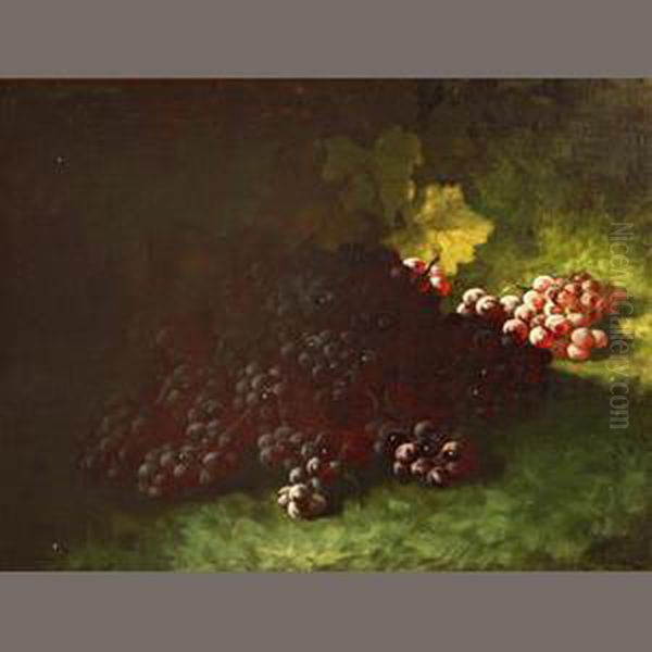 Red Grapes - view 1