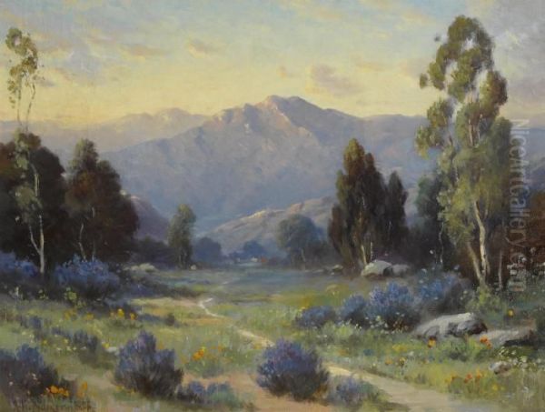 Sunset, Santa Barbara Mountain - view 1