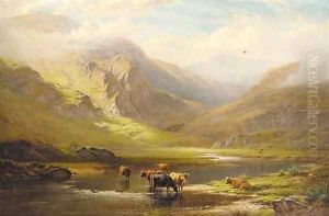 Cattle watering in a Highland landscape