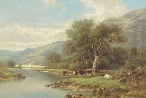 Cattle on the bank of a river Cattle on the bank of a river