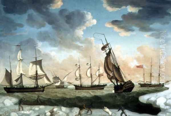 Arctic Scene - view 1