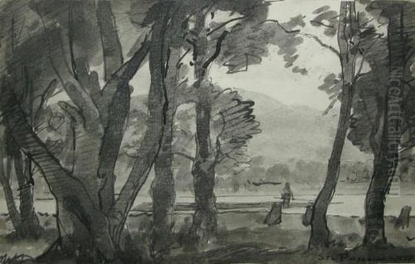 In Lunca - view 1