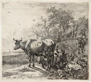 Il Bovaro