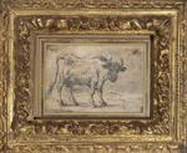 Vache - view 1