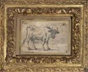Vache by Paulus Potter