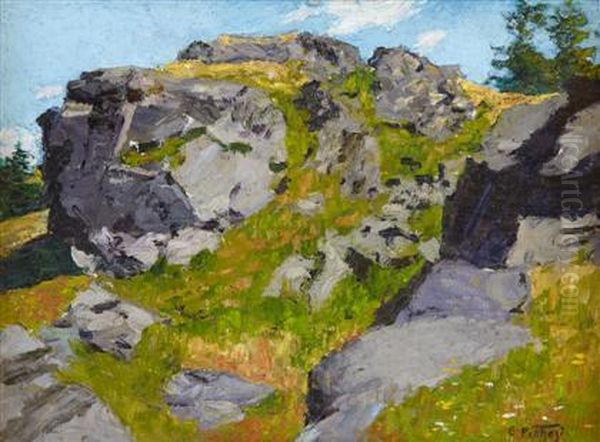 Rocky Pasture - view 1