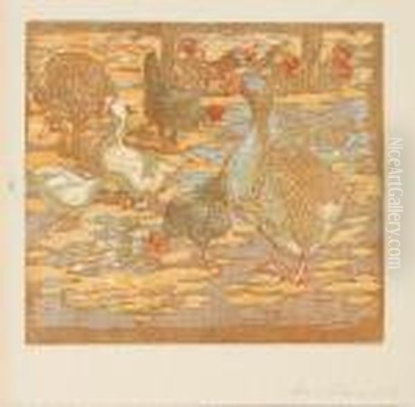 Pottner, Wasservogel Und Huhner - view 1