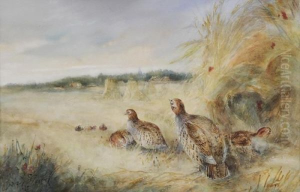 Tranquil Afternoon - view 1
