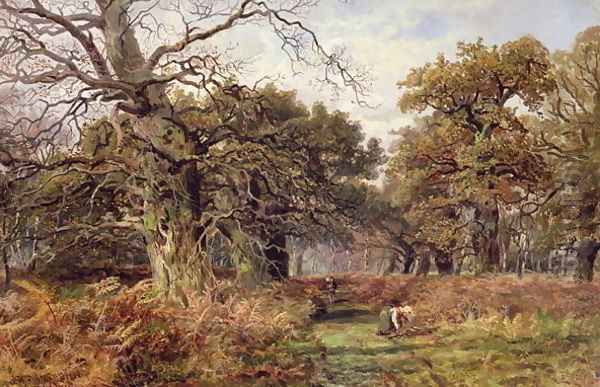 Sherwood Forest - view 1