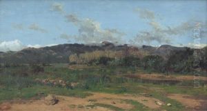 Paesaggio Sardo