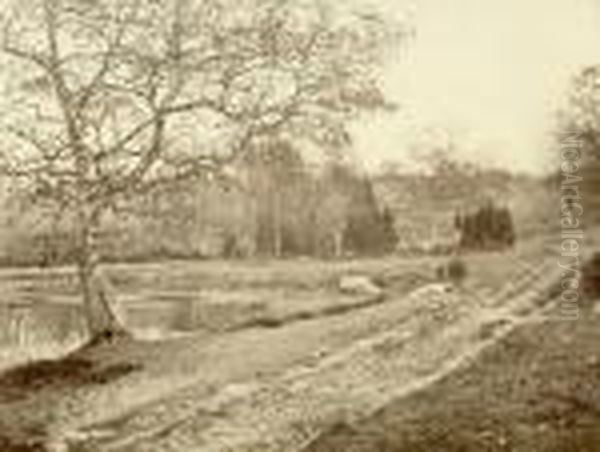 Etude D'apres Nature (chemin) - view 1