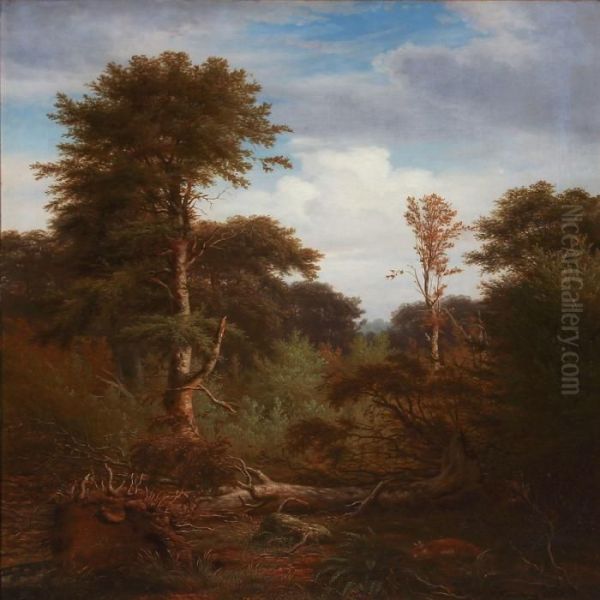Forest Scene With Tall Trees - view 1