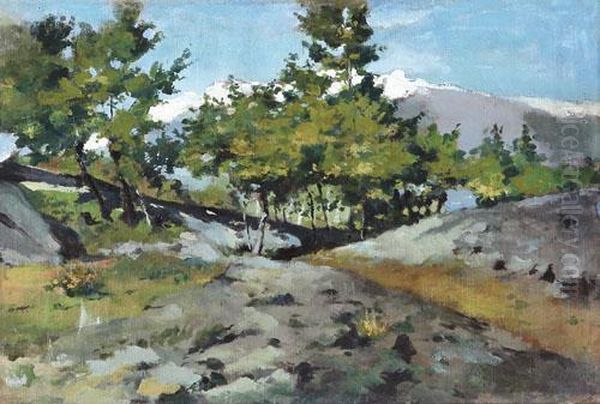 Paesaggio - view 1