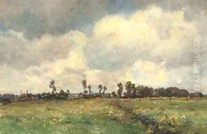 Flowers in a sunny meadow by Jan Hillebrand Wijsmuller