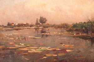 View of a polder pond